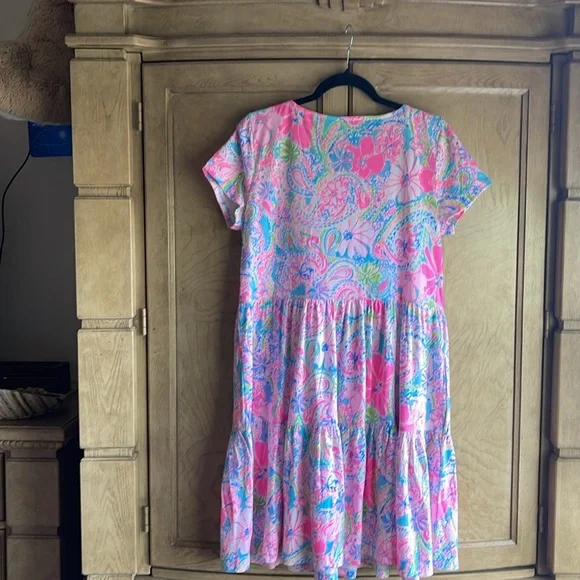 Lilly Pulitzer 🔥  Geanna 🌸Swing Dress Flock
Full of Fun - Picture 7 of 8